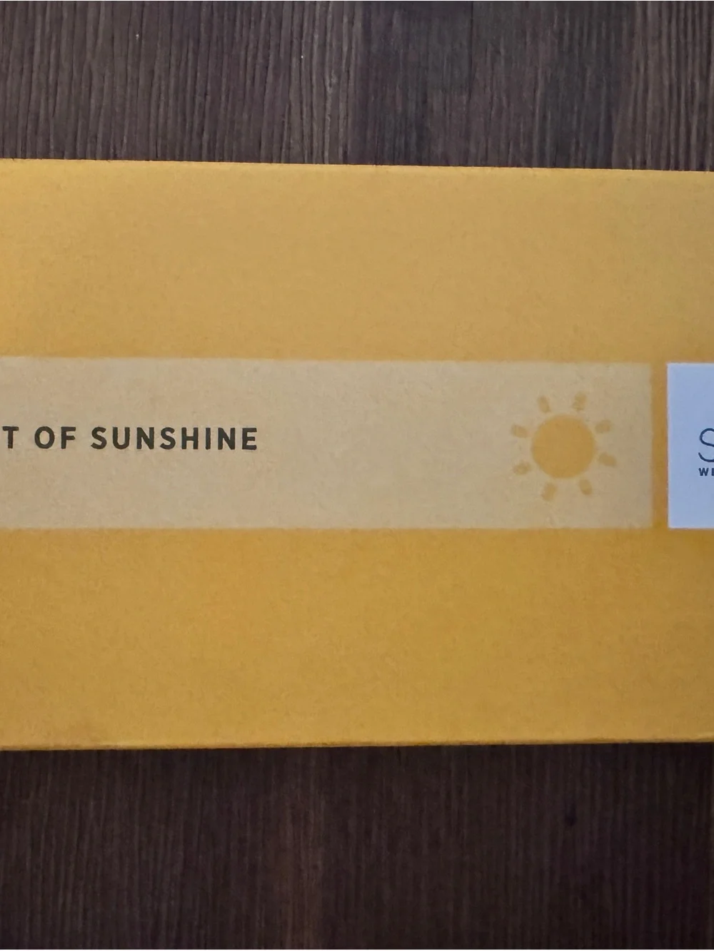 NEW Sei Bella A Little Bit of Sunshine Eyeshadow Palette 11 Shades